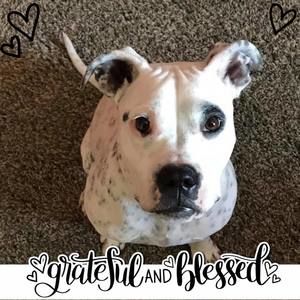 Meet your Posher, Denise